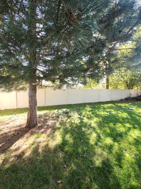 Tree Trimming & Yard Cleanup in Troy
