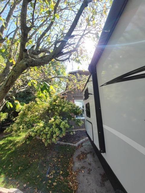 Tree Trimming — additional photo